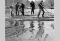 Log Driving on Tobique River