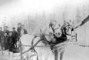 A Christmas Sleigh Ride