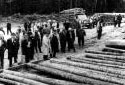 Forest Day Guided Tour at the Baisley Depot