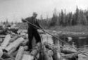 Logger Standing on a Wood Pile