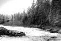 Logs Pile up on the  Green River