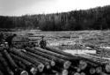 A River of Logs