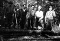 Loggers on a Wood Pile