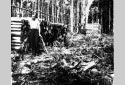 Loggers Near a Cord of Debarked Wood