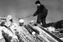 Logs Sliding Down a Sluice at Saint-Jacques