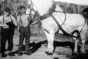 M. Fred Pettigrew avec un bcheron et un cheval