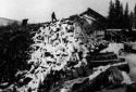 Un homme  sur une pile de bois