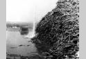 A Log Pile on the Madawaska River