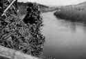 Log Pile at Saint-Jacques