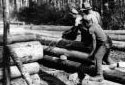 Cutting Wood at Camp 41