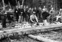 Testing  a Chain Saw