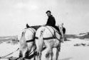 A Man with a Horse Team at the Murphy Mill in Green River