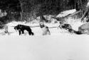 Sled Pulled by Dogs