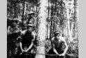 Loggers Felling a Tree with a Bow Saw