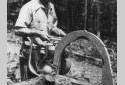 Logger Cutting  with an Old Model Chain Saw