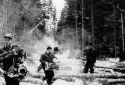 Loggers Using Old Model Chain Saws