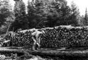 Cutting a Tree Trunk