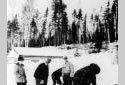 Logger Cutting Logs