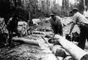 Cutting a Tree at Camp 41