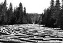 Pile Up of 16-Foot Logs on Little Tobique River