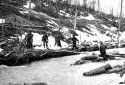 A  Log Bridge on a Stream