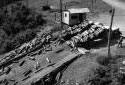 Truck Unloading  Pulpwood in  the Madawaska River