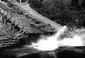 Unloading Pulpwood into the Madawaska River