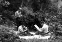 Men Examining Seed Cones