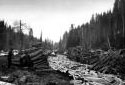 Un ruisseau rempli de bois de pte