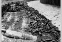 Bulldozers Pushing Logs in the Kedgwick River