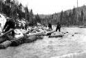 Logs Thrown into Belone Brook