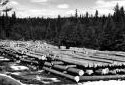 Landing of 16-foot  Spruce Logs