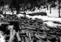 Drivers Releasing Logs on the Richards Brook