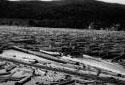 Boom on the North Bank of the Restigouche River