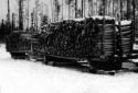 Transport du bois par traîneaux et par chevaux dans la région de Plaster Rock