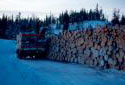 Two Workers Loading Wood on a Truck at Bells Brook