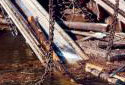 Haul-Up at the Plaster Rock Sawmill