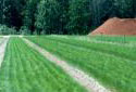 Rows of Trays of Seedlings Outdoors at the Second Falls Nursery