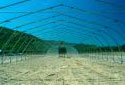 Greenhouse under Construction at  Second Falls Nursery