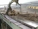 Log Loading Crane at the Kedgwick Sawmill