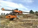 A Tree-Length Harvester Strips the Branches