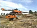 Une abatteuse-brancheuse branche des arbres