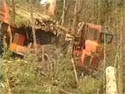 A Tree-Length Harvester in the Forest