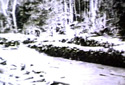 Unloading Logs in the the Green River Basin