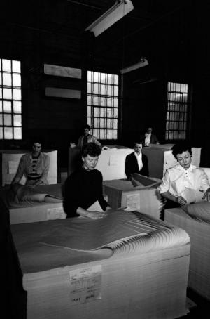 Working Women Inspecting Paper
