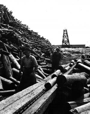 Convoyeur portatif à l'usine Fraser