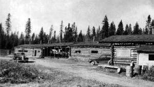 Camp 28 along Horseback Brook