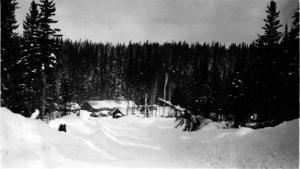 Camp 48 sur la Wild Goose Branch
