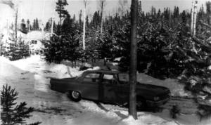 Camp du Lac Baisley