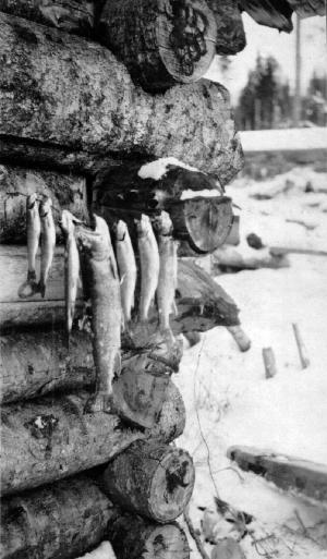 Good Catch at Second Lake